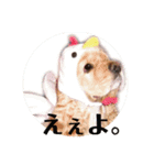 アメコカAshley（個別スタンプ：10）