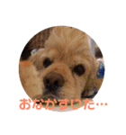 アメコカAshley（個別スタンプ：11）