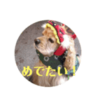 アメコカAshley（個別スタンプ：16）