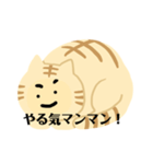 ゆるねこちゃん②（個別スタンプ：1）