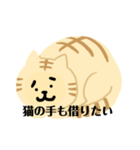 ゆるねこちゃん②（個別スタンプ：12）