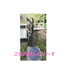 シャーちゃんズ＆しかおちゃん（個別スタンプ：4）