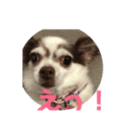 ゆいののほほん毎日（個別スタンプ：3）