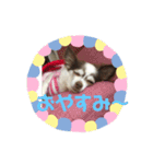 ゆいののほほん毎日（個別スタンプ：5）