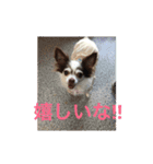 ゆいののほほん毎日（個別スタンプ：7）