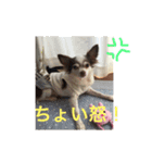 ゆいののほほん毎日（個別スタンプ：12）