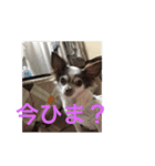 ゆいののほほん毎日（個別スタンプ：13）