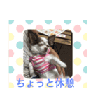 ゆいののほほん毎日（個別スタンプ：14）