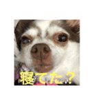 ゆいののほほん毎日（個別スタンプ：15）