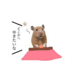キンクマハムスター きなこ＆わらび2（個別スタンプ：4）