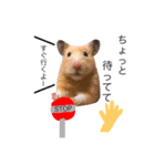 キンクマハムスター きなこ＆わらび2（個別スタンプ：7）