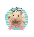 キンクマハムスター きなこ＆わらび2（個別スタンプ：18）
