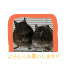 リベカ音楽教室1（個別スタンプ：9）