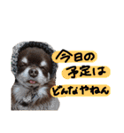 我が家のエンジェルズ（個別スタンプ：2）