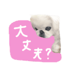 我が家のエンジェルズ（個別スタンプ：27）