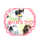 我が家のエンジェルズ（個別スタンプ：30）