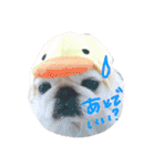 我が家のエンジェルズ（個別スタンプ：36）
