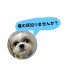 ろん君のスタンプ①（個別スタンプ：2）