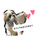 ろん君のスタンプ①（個別スタンプ：7）