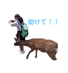 ふふさく（個別スタンプ：7）
