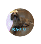 バティの日常（個別スタンプ：4）