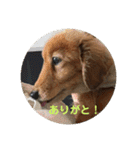 バティの日常（個別スタンプ：5）