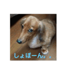 バティの日常（個別スタンプ：6）