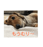 バティの日常（個別スタンプ：9）