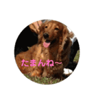 バティの日常（個別スタンプ：10）