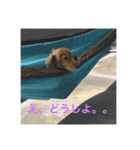 バティの日常（個別スタンプ：11）