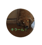 バティの日常（個別スタンプ：19）