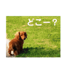 バティの日常（個別スタンプ：22）