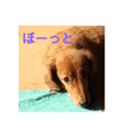 バティの日常（個別スタンプ：23）