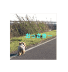 バティの日常（個別スタンプ：24）