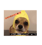 チップその3（個別スタンプ：2）
