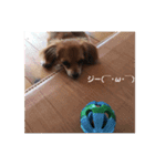 チップその3（個別スタンプ：5）