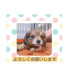 チップその3（個別スタンプ：7）