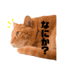 日常むぎ（個別スタンプ：2）