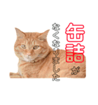 日常むぎ（個別スタンプ：14）