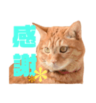 日常むぎ（個別スタンプ：16）