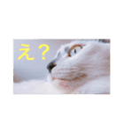 ズッコロ4（個別スタンプ：1）
