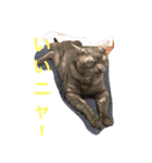 ズッコロ4（個別スタンプ：2）