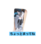 ズッコロ4（個別スタンプ：4）