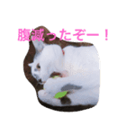 ズッコロ4（個別スタンプ：6）