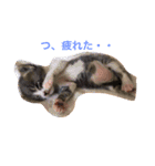 ズッコロ4（個別スタンプ：7）