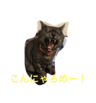ズッコロ4（個別スタンプ：8）
