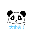 大学生パンダ（個別スタンプ：19）