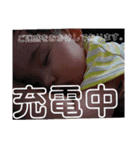 かよすたんぷ（個別スタンプ：16）