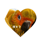 インコはん（個別スタンプ：3）