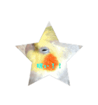 インコはん（個別スタンプ：4）
